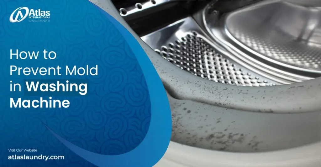 How to Prevent Mold in a Washing Machine